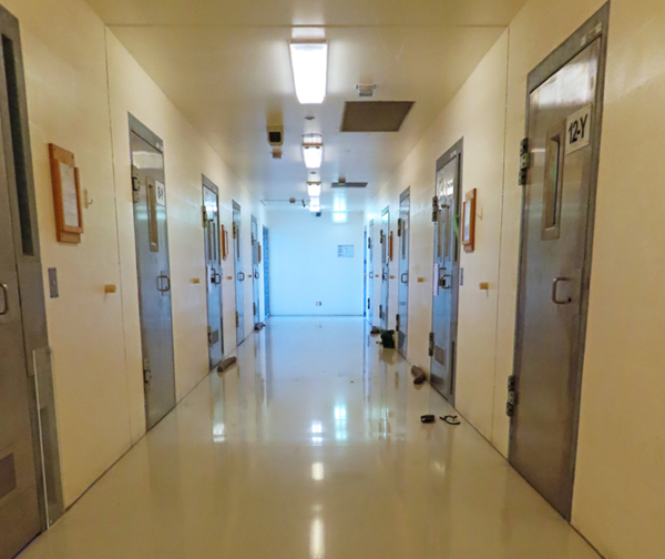 Well-lit white hallway with closed grey cell doors evenly spaced along both sides. 